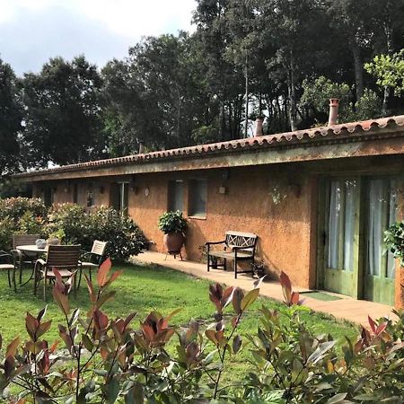 Aurora 2-Bed Cottage - Sleeps 4 - Montseny Park Arbúcies Exteriör bild