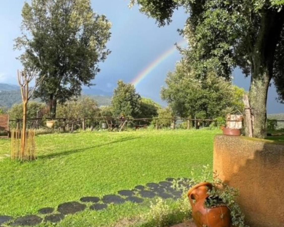 Aurora 2-Bed Cottage - Sleeps 4 - Montseny Park Arbúcies Exteriör bild