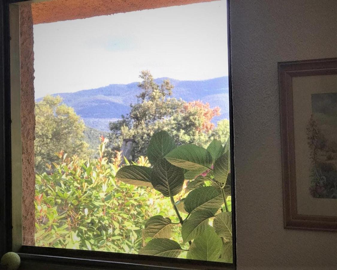 Aurora 2-Bed Cottage - Sleeps 4 - Montseny Park Arbúcies Exteriör bild